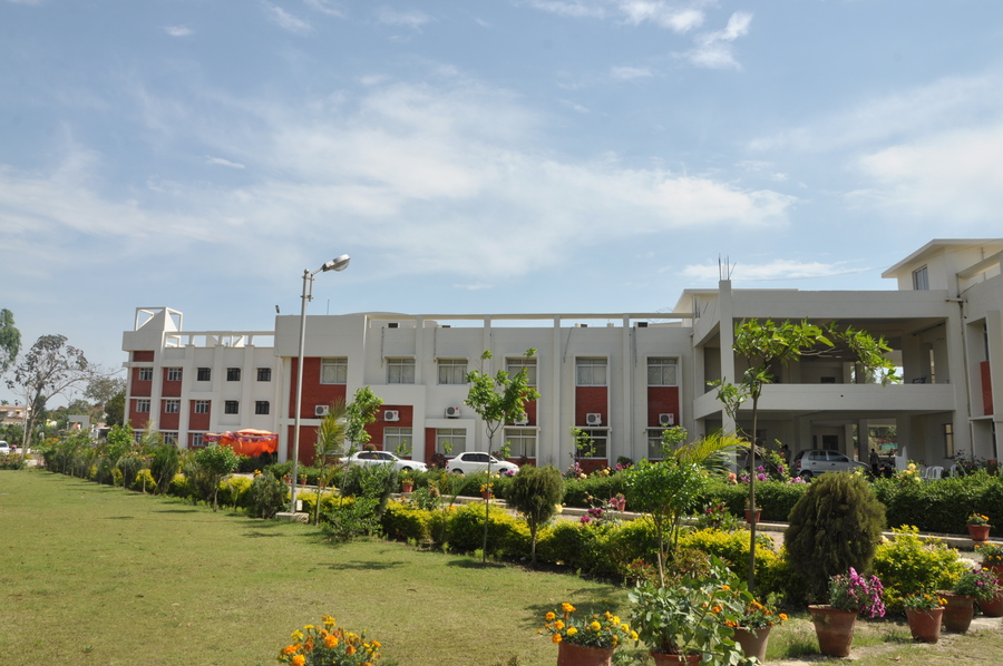 Phonics University Campus & Activities photo 45